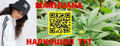 гидра Гусиноозёрск