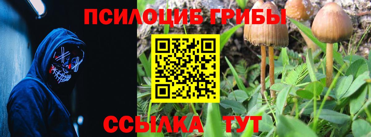 Галлюциногенные грибы MAGIC MUSHROOMS Грязи